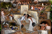 Alex and Allyssa Wedding 2022 The Party